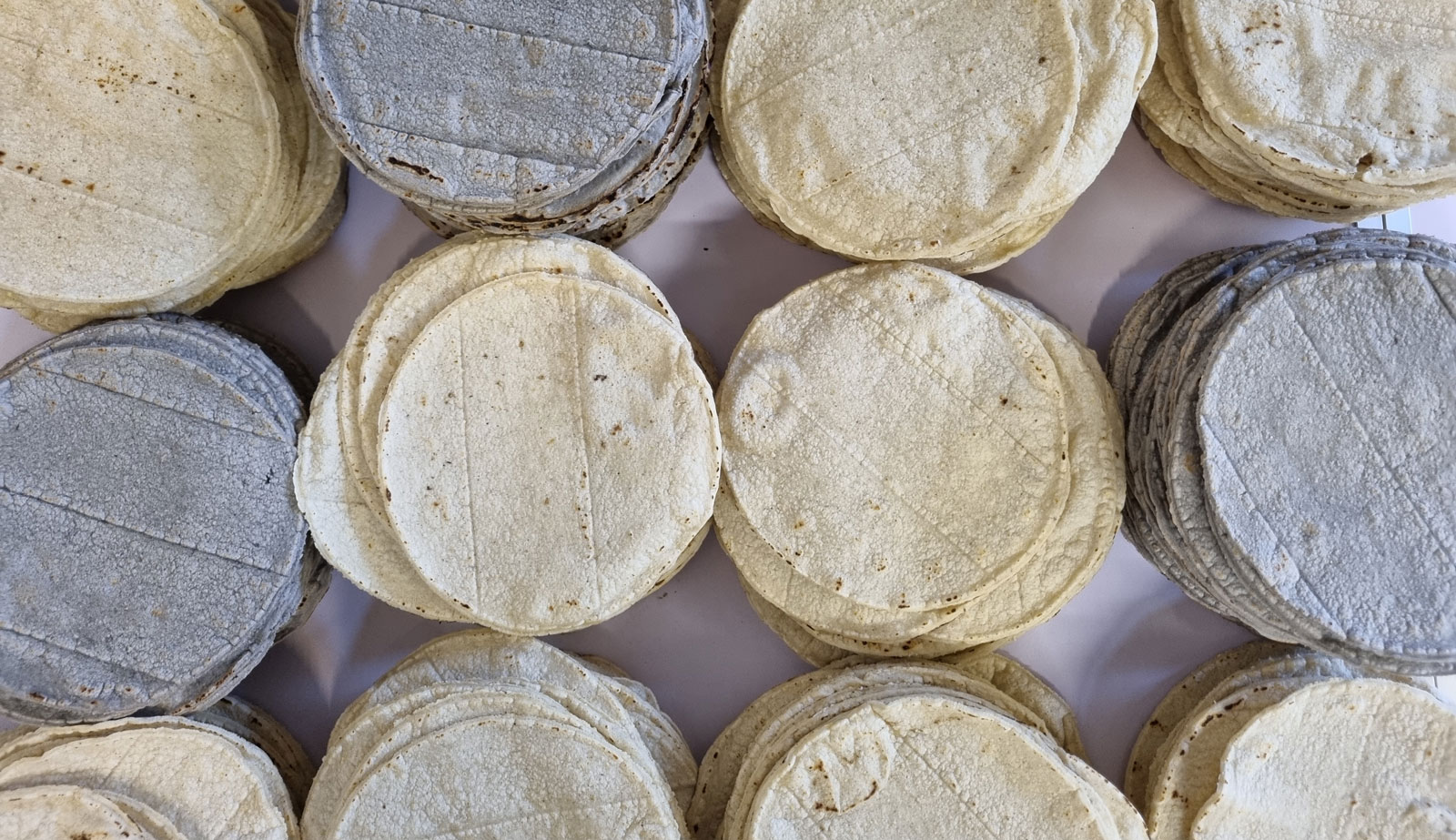 masa harina on tortilla machine